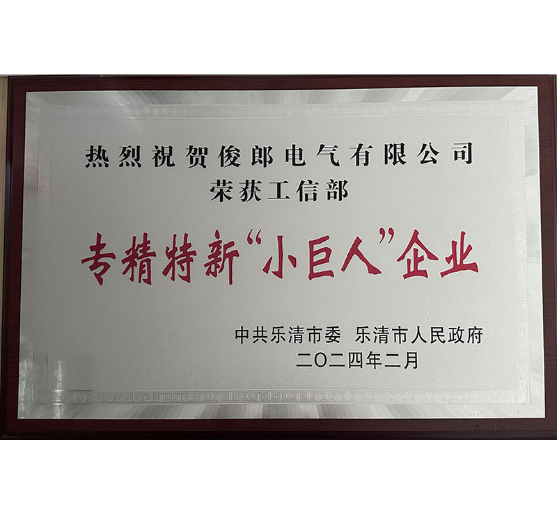 專精特新“小巨人”企業(yè)